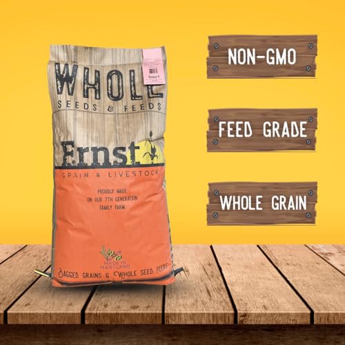 Ernst Grain & Livestock Soft Red Wheat Berries – Non‑GMO Feed Grade – 46 LB Bulk Bag – Ideal for Livestock & Poultry Feed – Grown (Family