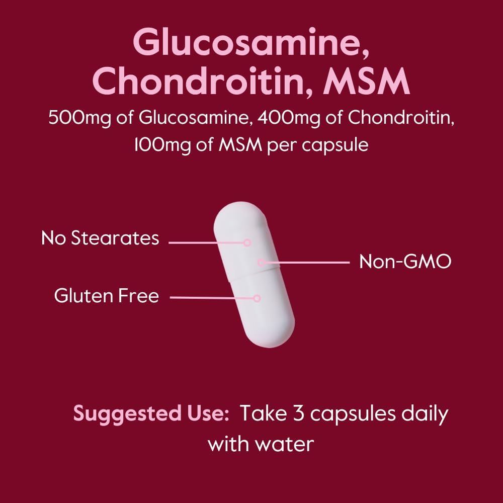 BESTVITE Glucosamine Chondroitin MSM 500/400/100 per Capsule (240 Caps)