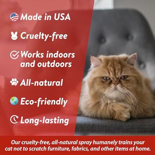 Bodhi 3-in-1 Cat & Kitten Training Aid - Cat Deterrent Spray for Indoor and Outdoor Use - Repellent to Establish Boundaries, Keep Cats Off Furniture