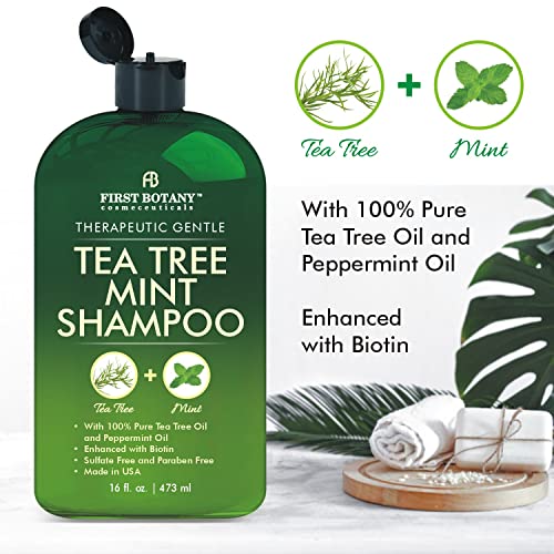 First Botany Tea Tree Mint Shampoo & Conditioner for Men & Women - Pure Tea Tree & Peppermint Oil - Fights Hair Loss, Dandruff, Lice & Itchy Scalp
