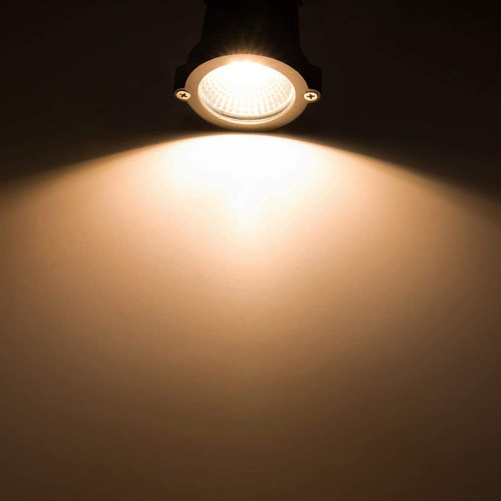 ZUCKEO Low Voltage Landscape Lights LED Landscape Lighting