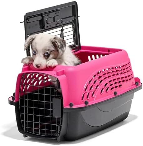 Petmate 2-Door Dog, Puppies & Cat Kennel, 19", White | Top & Front Loading, Made in USA, Extra Small