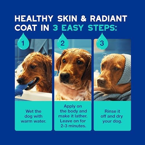 DOUXO SPA Dog Shampoo for Smelly Dogs, 16 fl oz | Hydrates the Skin, Removes Bad Odor, Leaves the Coat Soft and Smelling Great, Ultra-Safe Formula