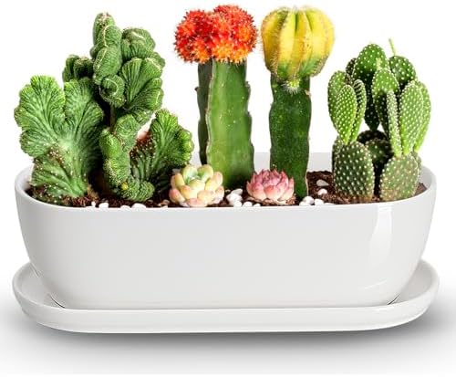 E-liu 11 Inch Oval Ceramic Planter Pot with Drainage Hole Saucers