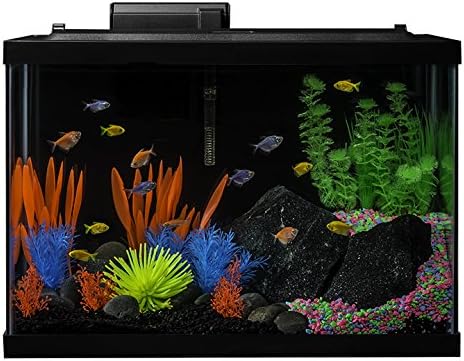 GloFish Crescent aquarium Kit 3 Gallons, Includes Hidden Blue LED Light And Internal Filter