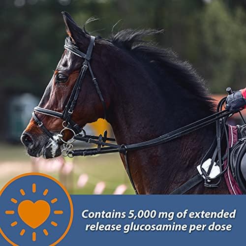 Farnam MaxFlex XR Extended Release Joint Supplement for Horses, Provides a continuous supply of joint health ingredients for 24 hours, 0.9375 pound