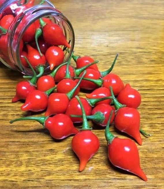 Pimiento De Lágrima - Drop Pepper Pearls 793g