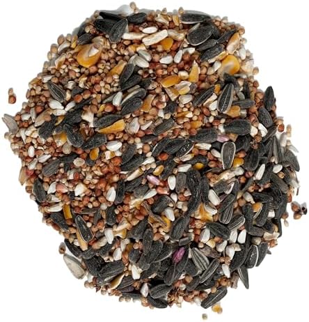 Wagner's 62067 Deluxe Treat Blend Wild Bird Food, 4 Pound (Pack of 1)