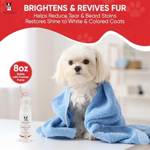 Warren London Foaming Pet Facial | Tear Free Dog Face Wash | Tearless Dog Shampoo for Faces & Dog Eye Stain Remover | Refreshing Cucumber Melon Wash | Made in USA | 8oz