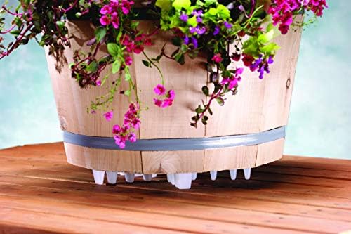 Bosmere Down Under Plant Stand,16", Black