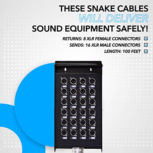 Seismic Audio Speakers 12 Channel Low Profile XLR Send Circuit Board Snake Cable, XLR Splitter Cable, 100 Feet