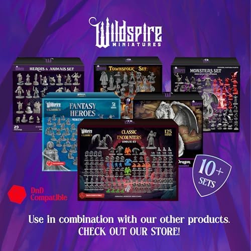 Wildspire Hero, Player-Character, NPC DND Miniatures