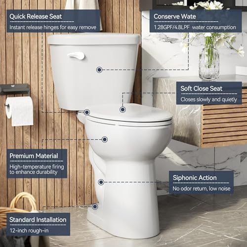 Two Piece Toilet, ADA Height, Elongated Toilet Seat, 1.28 GPF Water Efficient, Side Push Handle, CUPC Certified, Modern Bathroom Toilet