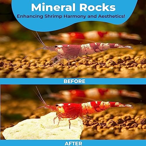 JOR Water Conditioner Calcium Rocks for Baby Shrimps, Isopods, and Crayfish, Enhances Pet Color, Provides Hideout, Breeding Spot