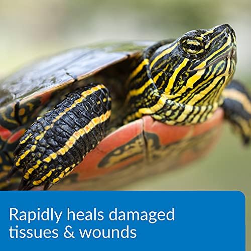 API TURTLE FIX Turtle Remedy 8-Ounce Bottle