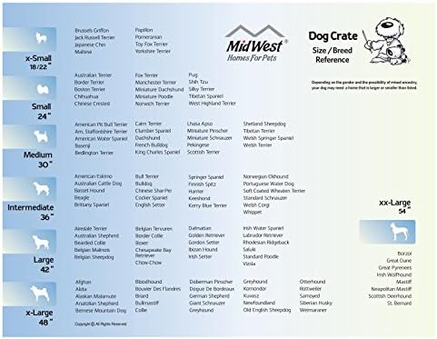 MidWest Homes for Pets Medium Ovation Double Door 30-inch Folding Metal Dog Crate, Front and Up & Away Side Doors, Space-Saving Design