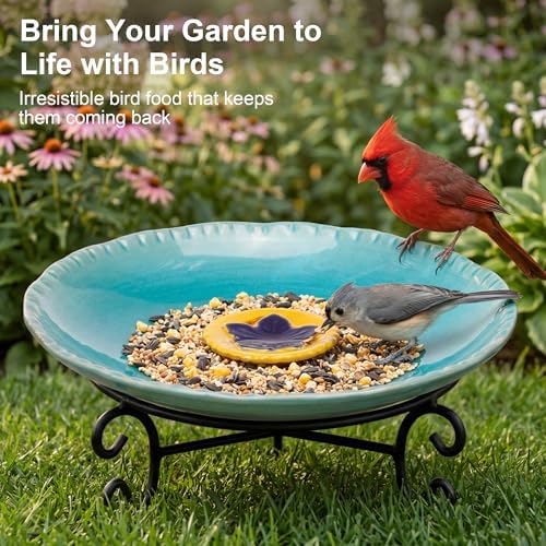 Topadorn 2" Depth Ceramic Birdbath & Birdfeeder for Small Birds Outdoors