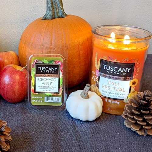 REAL Tuscany Candle Fall Festival Premium Marbled Wax 2-Wick Tumbler Large 18 Oz