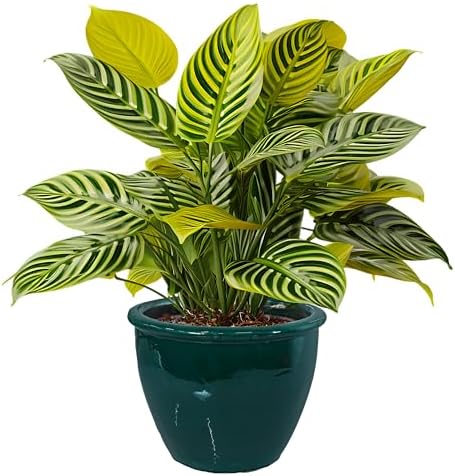 Sunnydaze Chalet 12" Ceramic Plant Pot, Imperial Blue Glaze, 2pk