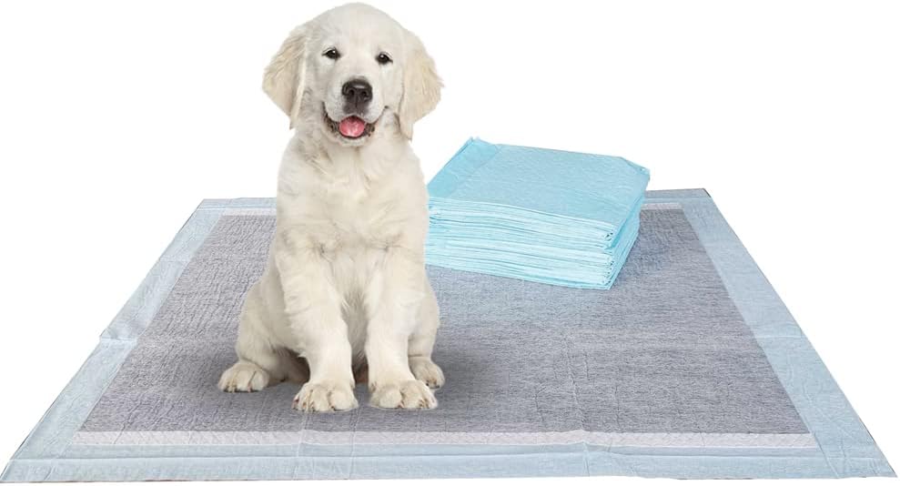 BV Puppy Pads Leak-Proof 100 Count 22"x 22" - Absorbent Pee Pads for Dogs with 6-Layer Design, Rapid Dry Sheet & Built-in Attractant - Dog Pad with Odor Control, Perfect for Puppies & Senior Dogs