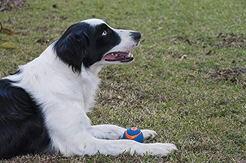 Chuckit! 6 Pack of Ultra Squeaker Ball Dog Toys, Medium, Whistles When Thrown