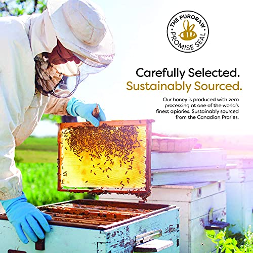 Organic Raw Honey, Pure Unfiltered Raw White Honey from the Canadian Prairies by PuroRaw, Kosher, 17.5oz