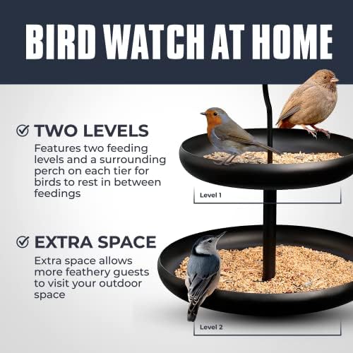Monarch Abode Hanging Hummingbird Feeders for Outdoors – Single Handcrafted Hanging Glass Hummingbird Feeder with Red Bowl & Perch