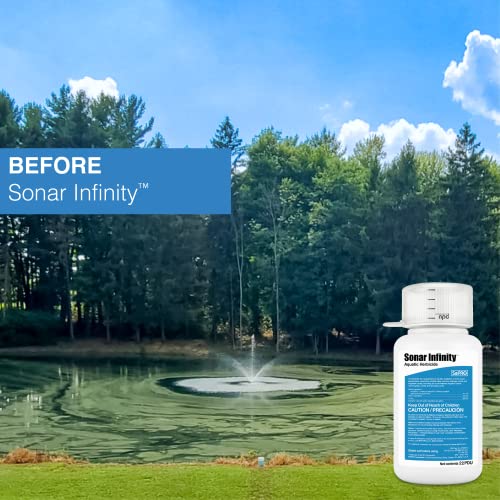 Aquatic Herbicide - 22 oz WDG Granules for DIY Pond and Lake Weed Control - Kills Duckweed, Milfoil, Hydrilla - Fish Safe, Easy to Use