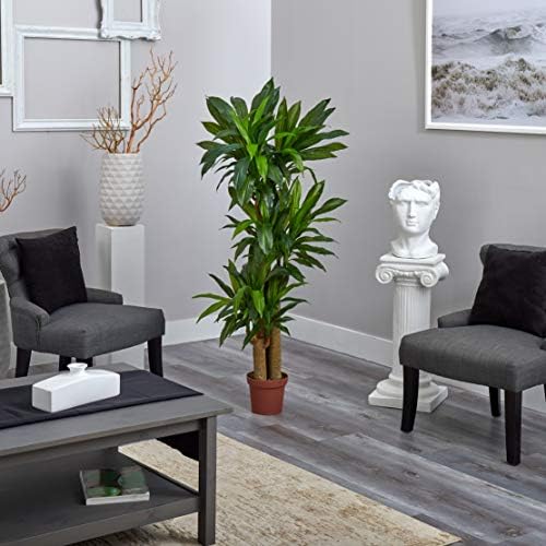Nearly Natural 62IN Artificial Corn Stalk Dracaena Plant, Tall Fake Plant for Indoor Home Décor, Real Touch Faux Plant | Multi-Tonal Trunks