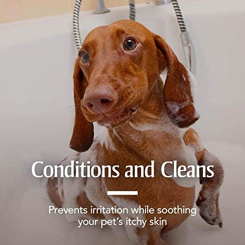 PetArmor Plus Flea & Tick Oatmeal Shampoo Dogs, 7-Day, Tropical, 18oz