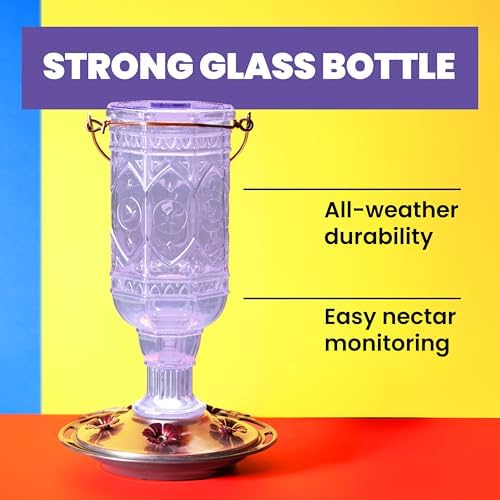 More Birds Red Jewel Hummingbird Feeder, Glass Bottle, 5 Feeding Ports and 20-Ounce Nectar Capacity (76IN)