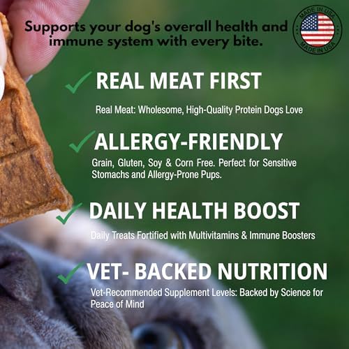 Loving Pets Activpetz Beef Jerky Hip & Joint Formula Dog Treat, 7 Oz