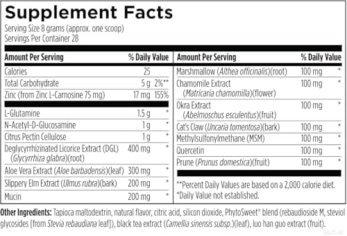 Designs for Health GI Revive Gut Health Powder - L Glutamine & Citrus Pectin for Digestive Health + Slippery Elm