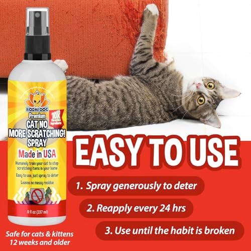Bodhi 3-in-1 Cat & Kitten Training Aid - Cat Deterrent Spray for Indoor and Outdoor Use - Repellent to Establish Boundaries, Keep Cats Off Furniture
