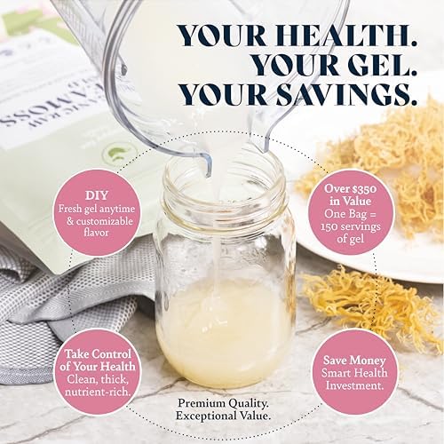 HAPPY FOX Organic Sea Moss Raw Gold - Makes 75oz of Seamoss Gel Rich in Vitamins & Minerals, Certified Non-GMO, Wildcrafted, Sundried Superfood - 3.5 oz Bag