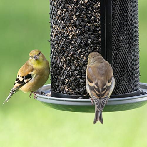 Perky-Pet Dual Mesh Wild Bird Seed Feeder - Holds up to 2.85 lb Wild Bird Seed - Dual Compartment for Seeds and Thistle - TSS00349