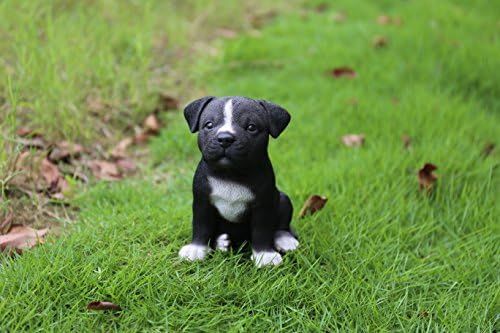 Hi-Line Gift Ltd Sitting Staffordshire Pitbull Puppy Statue