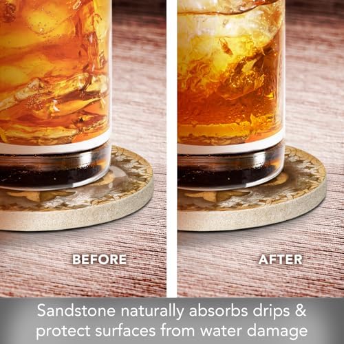 Thirstystone Absorbent Drink Coaster Set Fleur de Lis | 4" Diameter, Manufactured in the USA, Absorbent