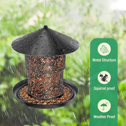 Bird Feeder for Outdoor Hanging