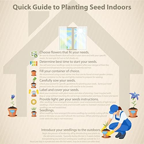 Outsidepride Blueberry Periwinkle Seeds for Planting – 50 Pcs Annual, Fast-Blooming