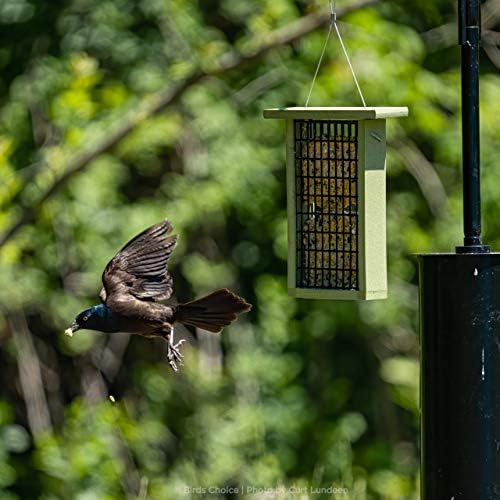 Birds Choice Erva 2 Arm Complete Bird Feeder Pole Set with Squirrel Baffle Steel Bird Feeder Mounting Pole Made in USA | Hangs 2 Feeders at Once