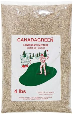 Canada Green Grass Lawn Seed - 4 Pound Bag Grows Healthy Rich Green Fast Growing Grass Lawn Seed Plants Yard Garden