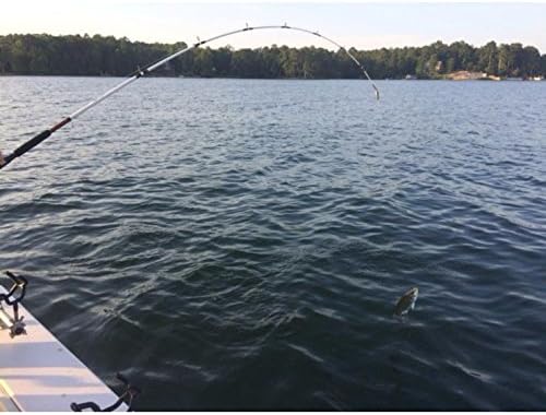 Ugly Stik 7’ Catfish Spinning Fishing Rod and Reel Catfish Combo, Ugly Tech Construction with Clear Tip Design