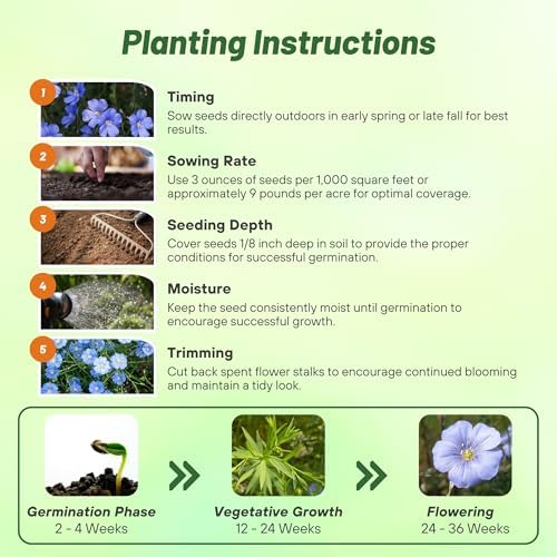 Outsidepride Blue Flax Seeds - 5000 Pcs Perennial Flower Seeds for Planting, Self-Seeding, Drought-Tolerant w/Compact Growth, Ideal for Small Gardens, Meadows, Borders, or Mass Plantings