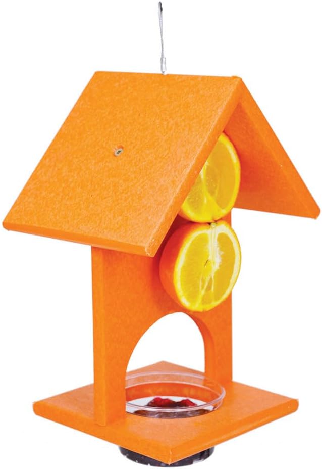 SERUBFJF Fruit and Jelly Oriole Feeder (Set of 1)
