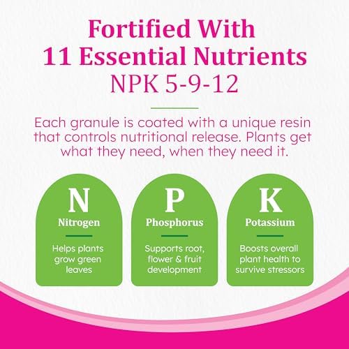 Osmocote Smart-Release Plant Food Plus Outdoor & Indoor, 1 lb. | Granular, Continuous Release Plant Fertilizer with 11 Essential Nutrients