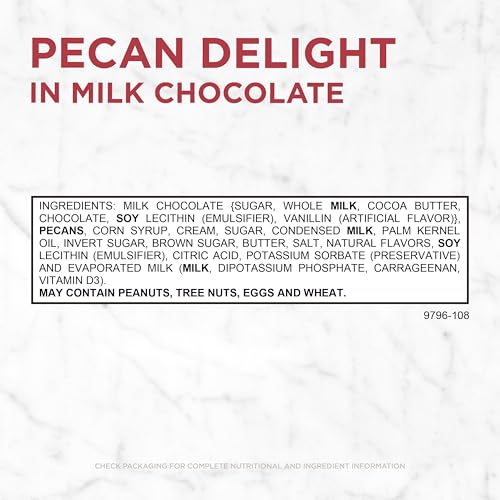 Russell Stover Pecan Delight Gusset Bag 16.10 Ounce Russel Stover Milk Chocolate Covered Candy Pack, Crunchy Pecans and Buttery Caramel Covered In Sweet Milk Chocolate Candy, Individually Wrapped | Individually Wrapped Pieces, Crunchy Pecans, Buttery Car…