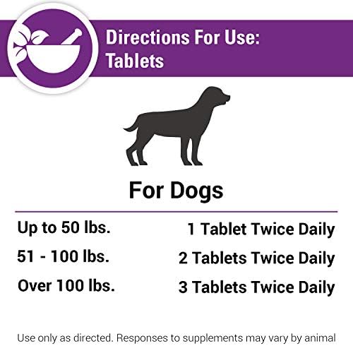 Coenzyme Q-10 Antioxidant Dog Supplement – Pet Health Supplement for Dogs – Supports Overall Dog Wellness, Aging – Includes Green Tea, Vitamin C