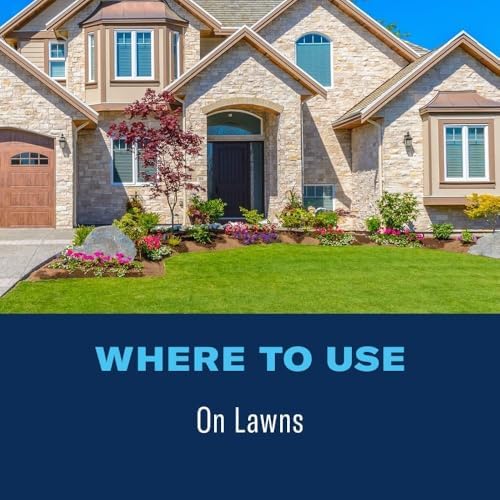 BioAdvanced Fungus Control for Lawns - 32 fl oz Bottle | Ready-to-Spray - Cures and Prevents Lawn Diseases - Up to 1 Month Protection - Covers 5,000 Square Feet