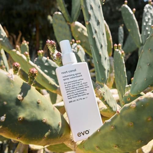 EVO Root Canal Volumizing Styling Spray for Fine Hair - Adds Body, Texture & Shine